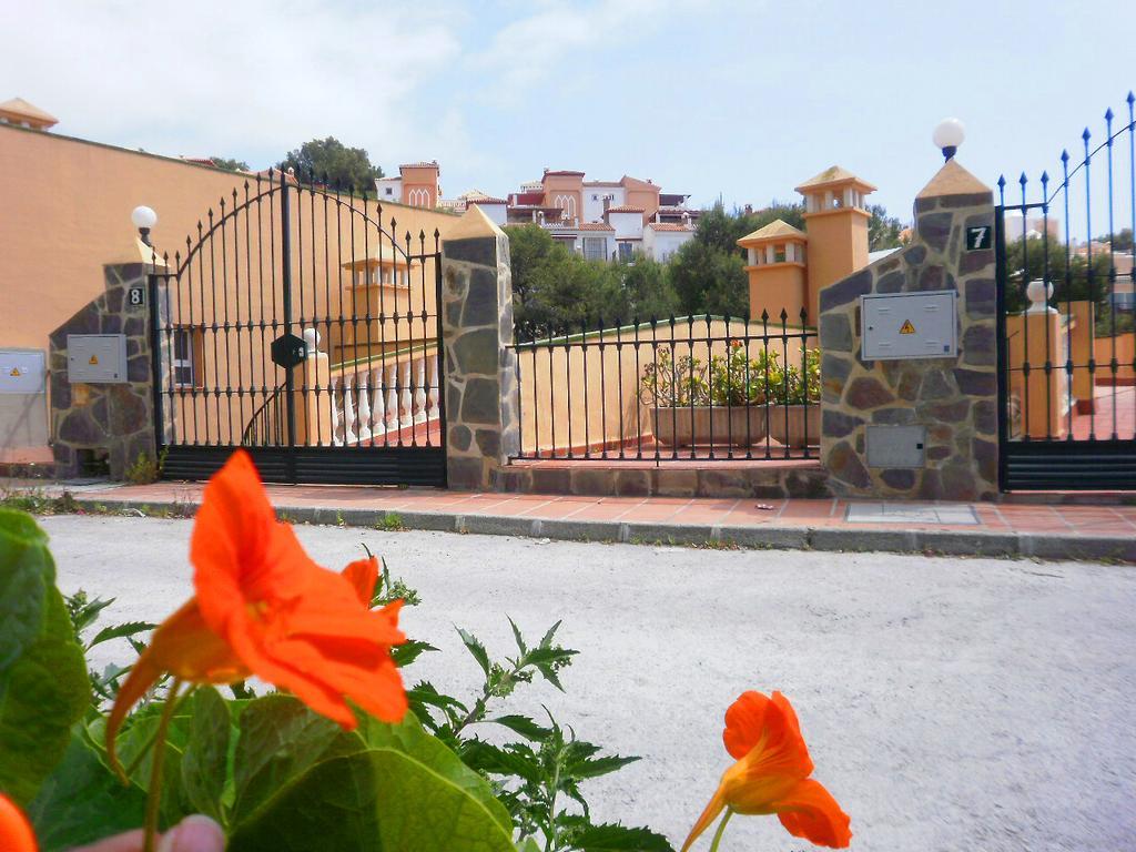 Flores De Burriana Nerja