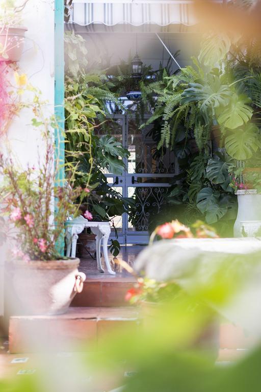 Guest house Mena