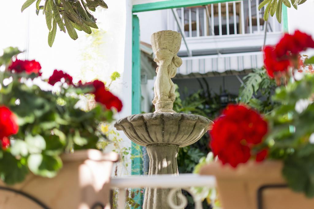 Guest house Mena 3*