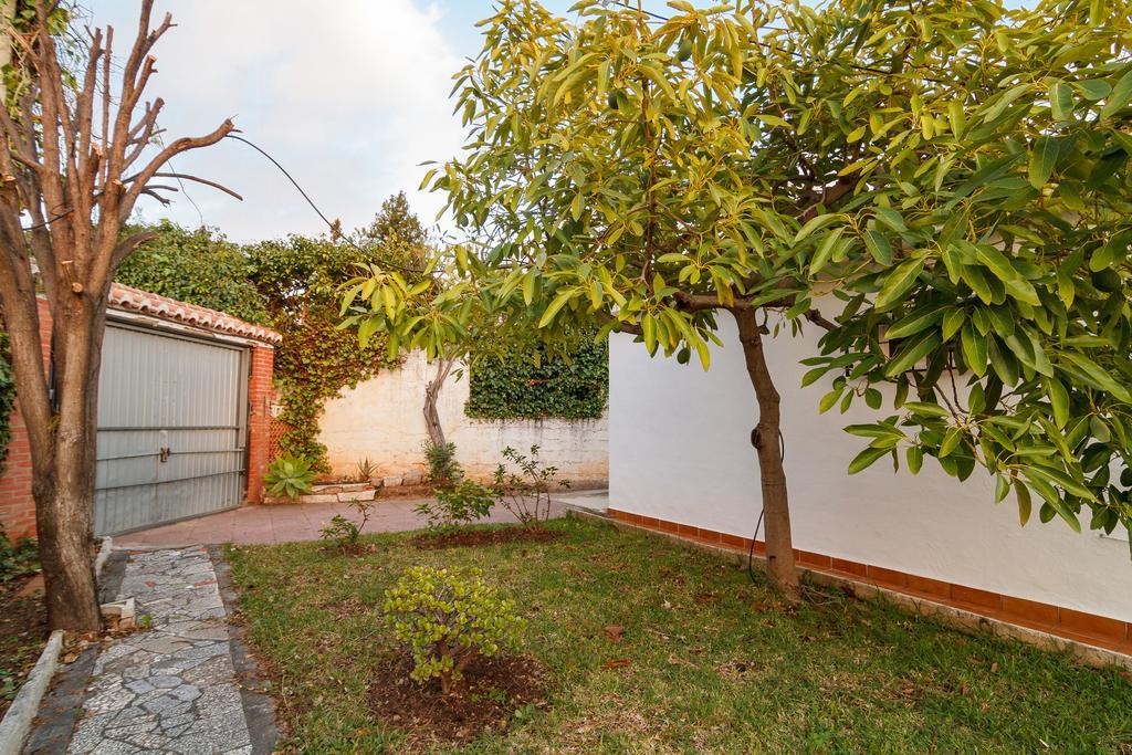 Francisca Casasol Apartment