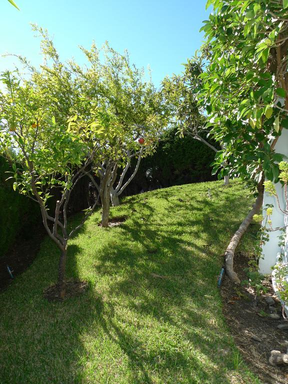 Villa Ladera Del Mar *