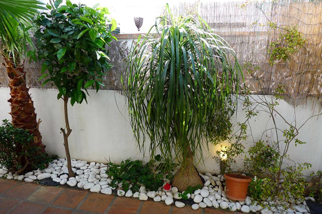 Casa Anduez * Nerja