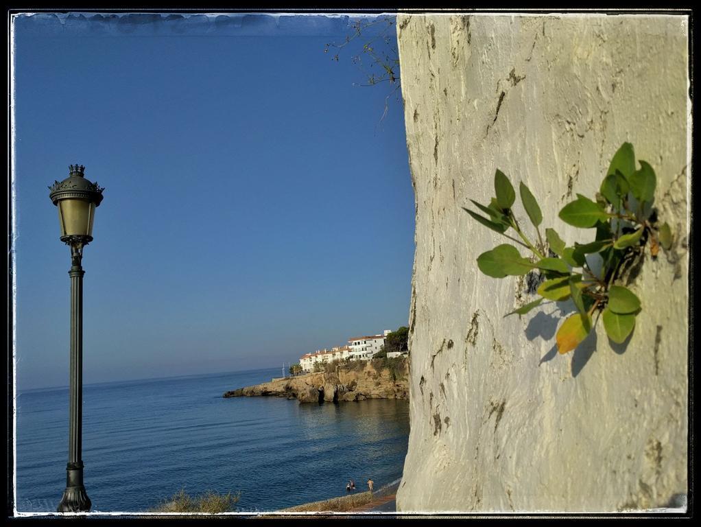 Pensión Andalucia Nerja