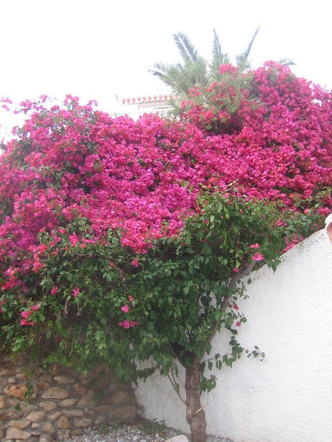 Carabeo 2000 3.1 Apartamento *