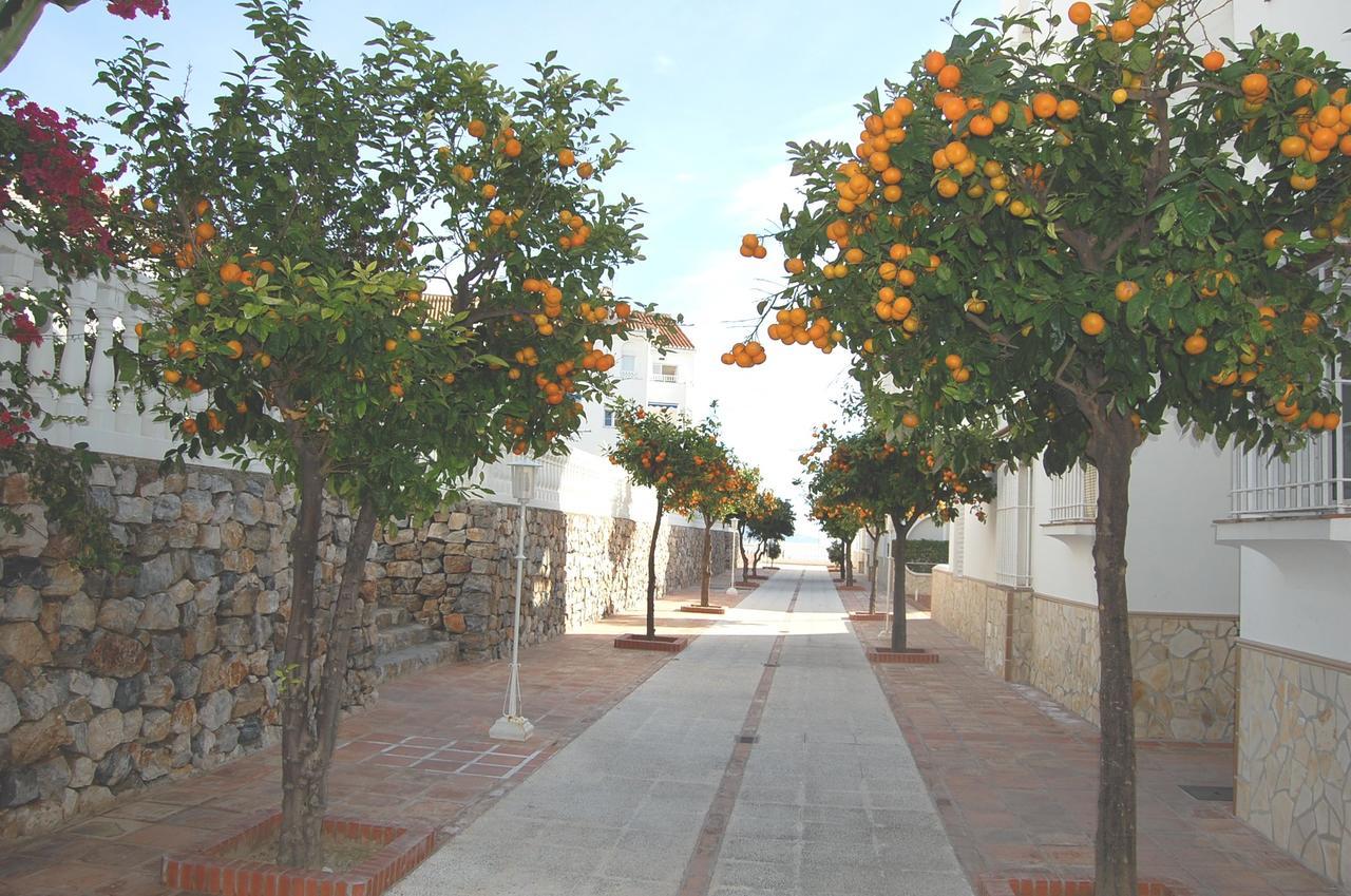 Fuentes De Apartamento