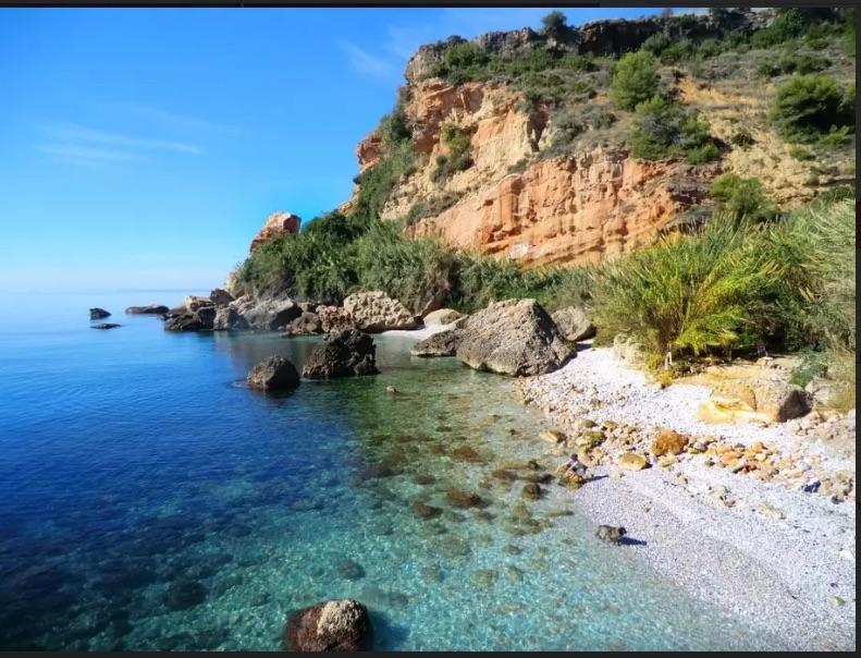 Anna Nerja