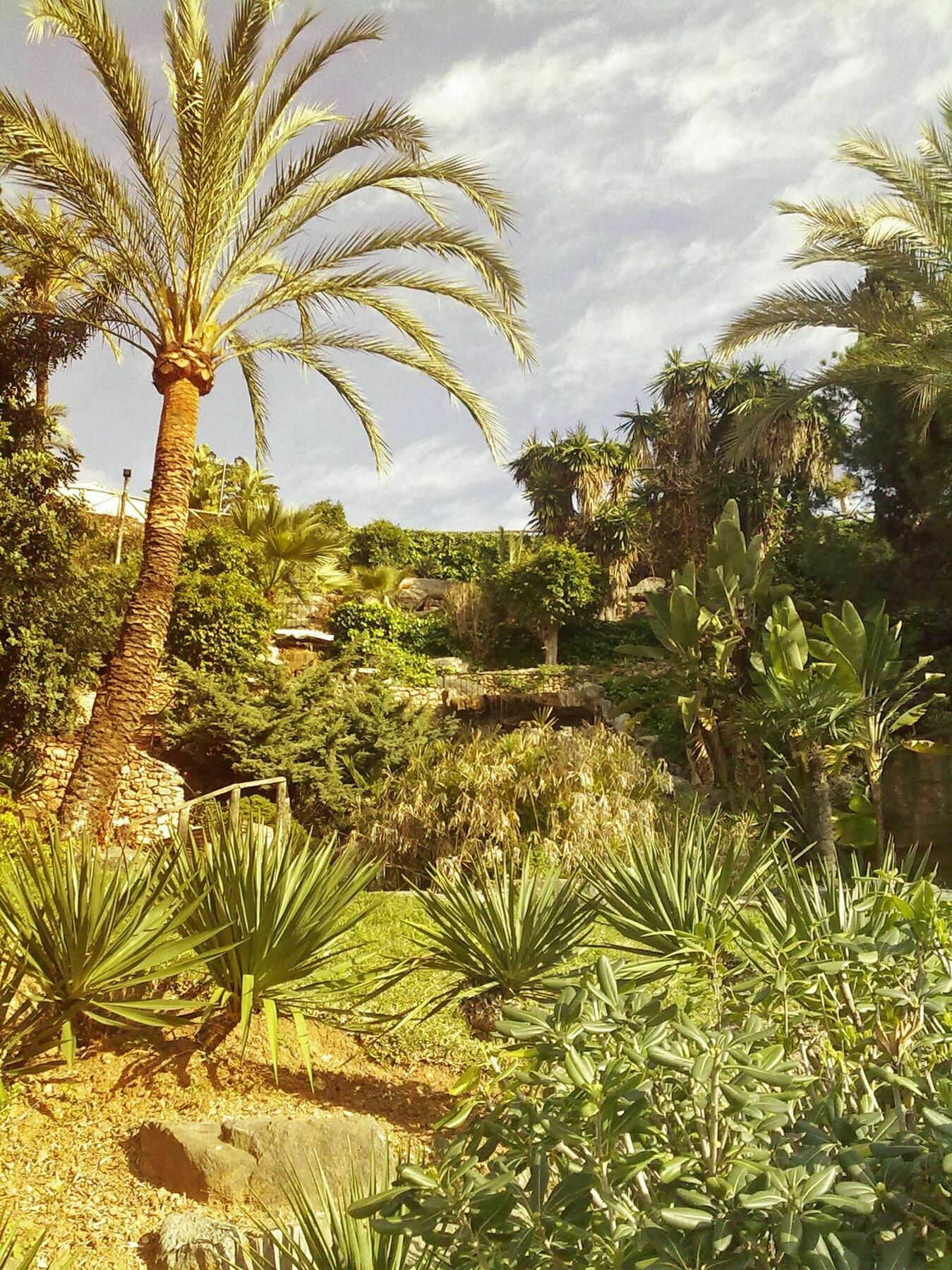 Apartamento Capistrano Playa Nerja