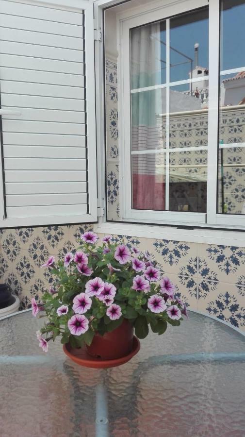 Casa Encantadora Centrica Holiday home