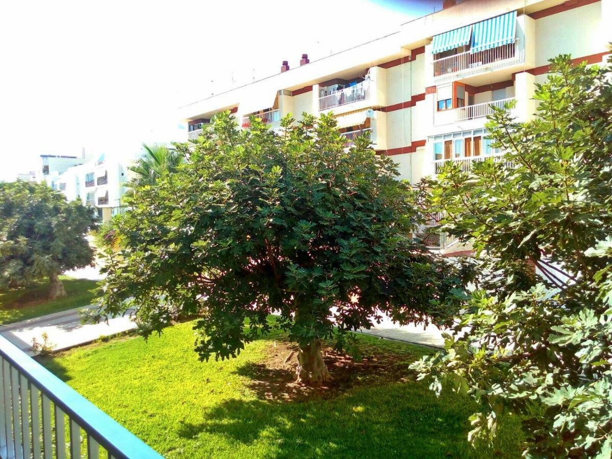 Guest house Wonder 2*