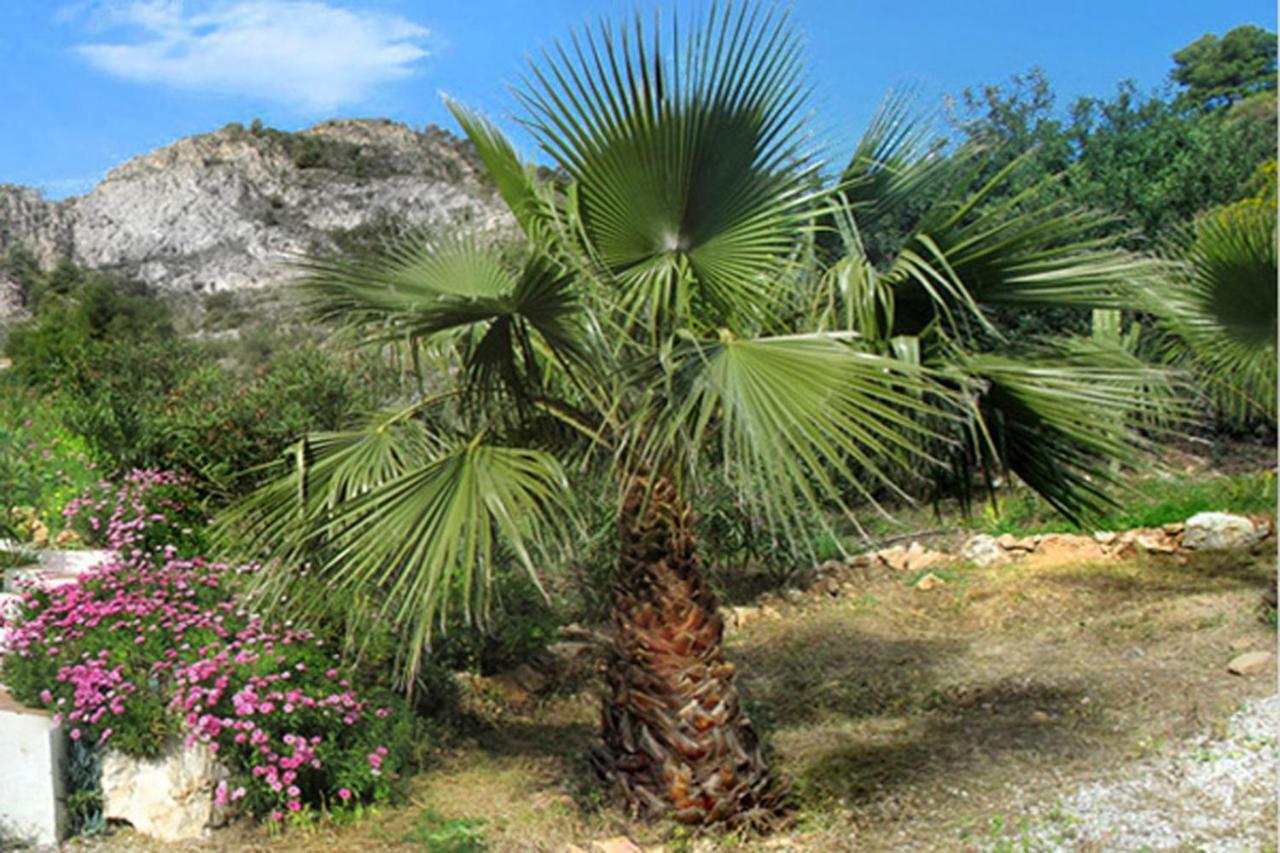 Cortijo La Venta Casa rural Nerja