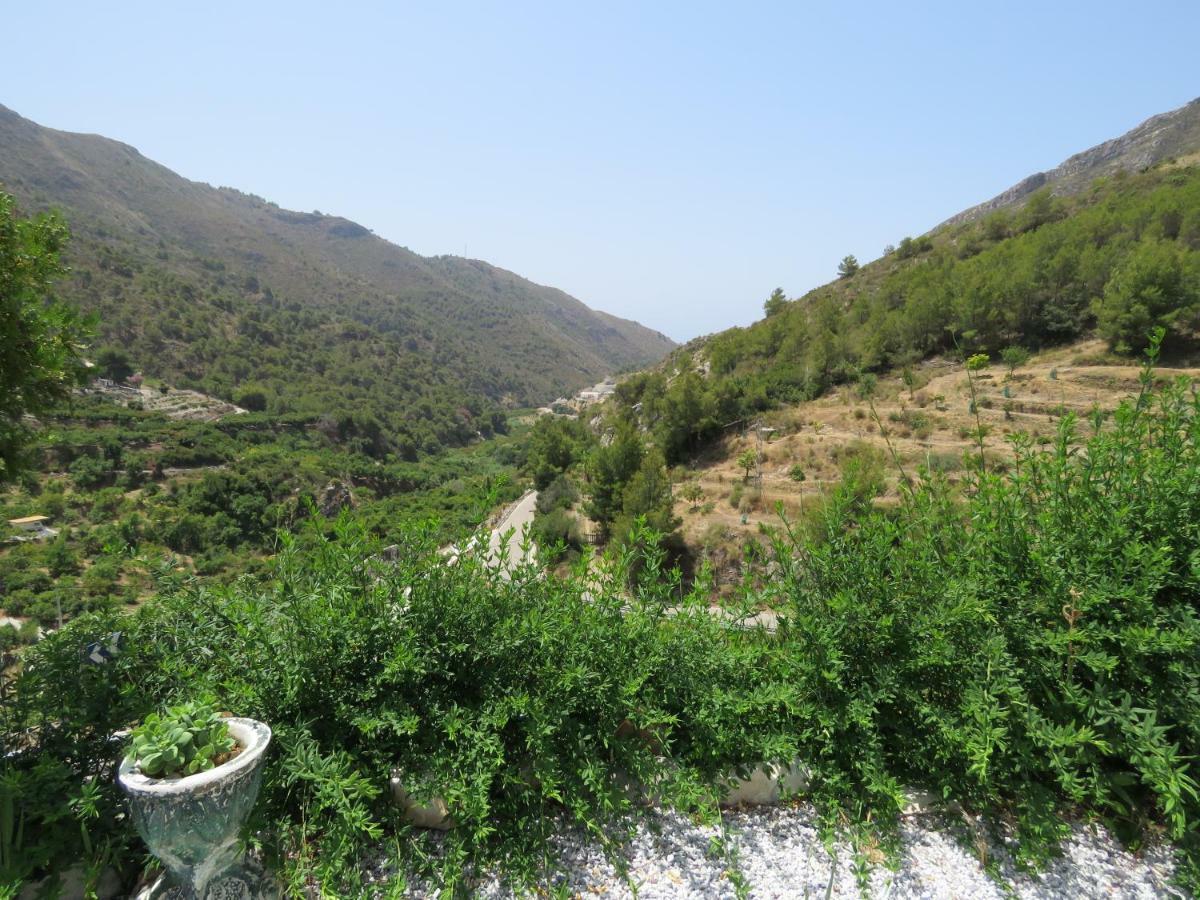Cortijo Maricarmen Holiday home *