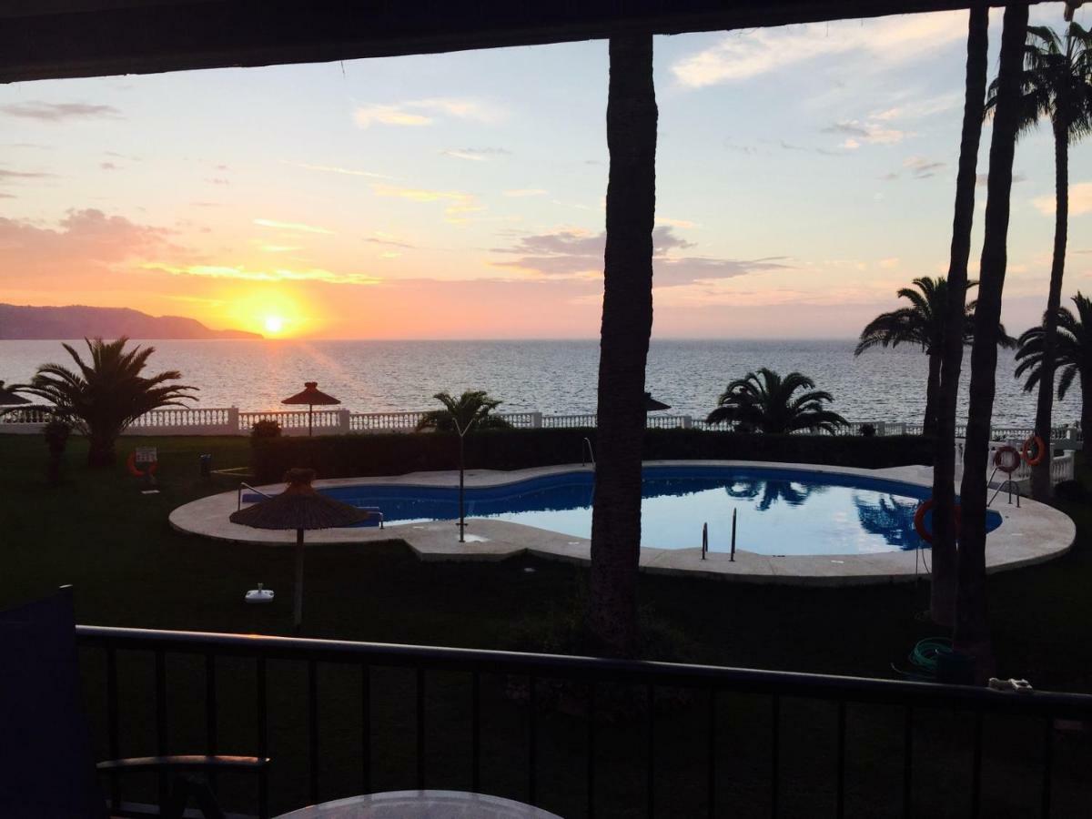 Palmeras 53 Menyber