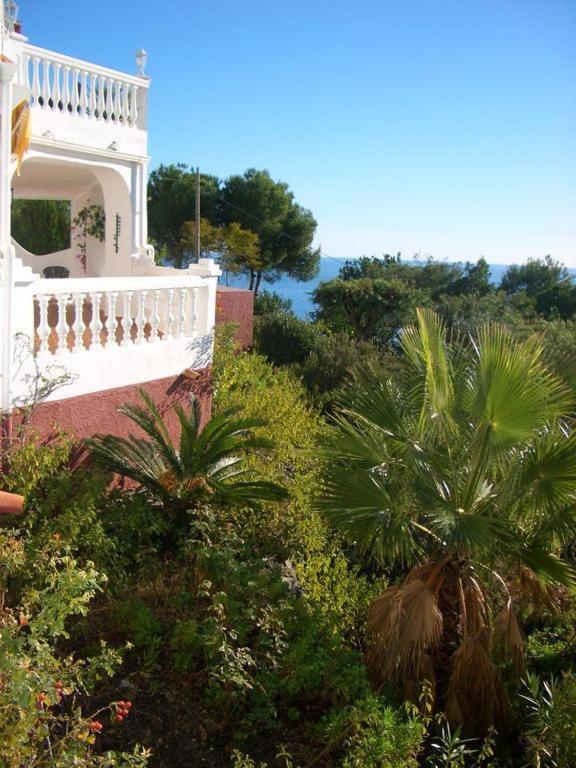 Casa Patricia, Ladera Del Mar, Apartment
