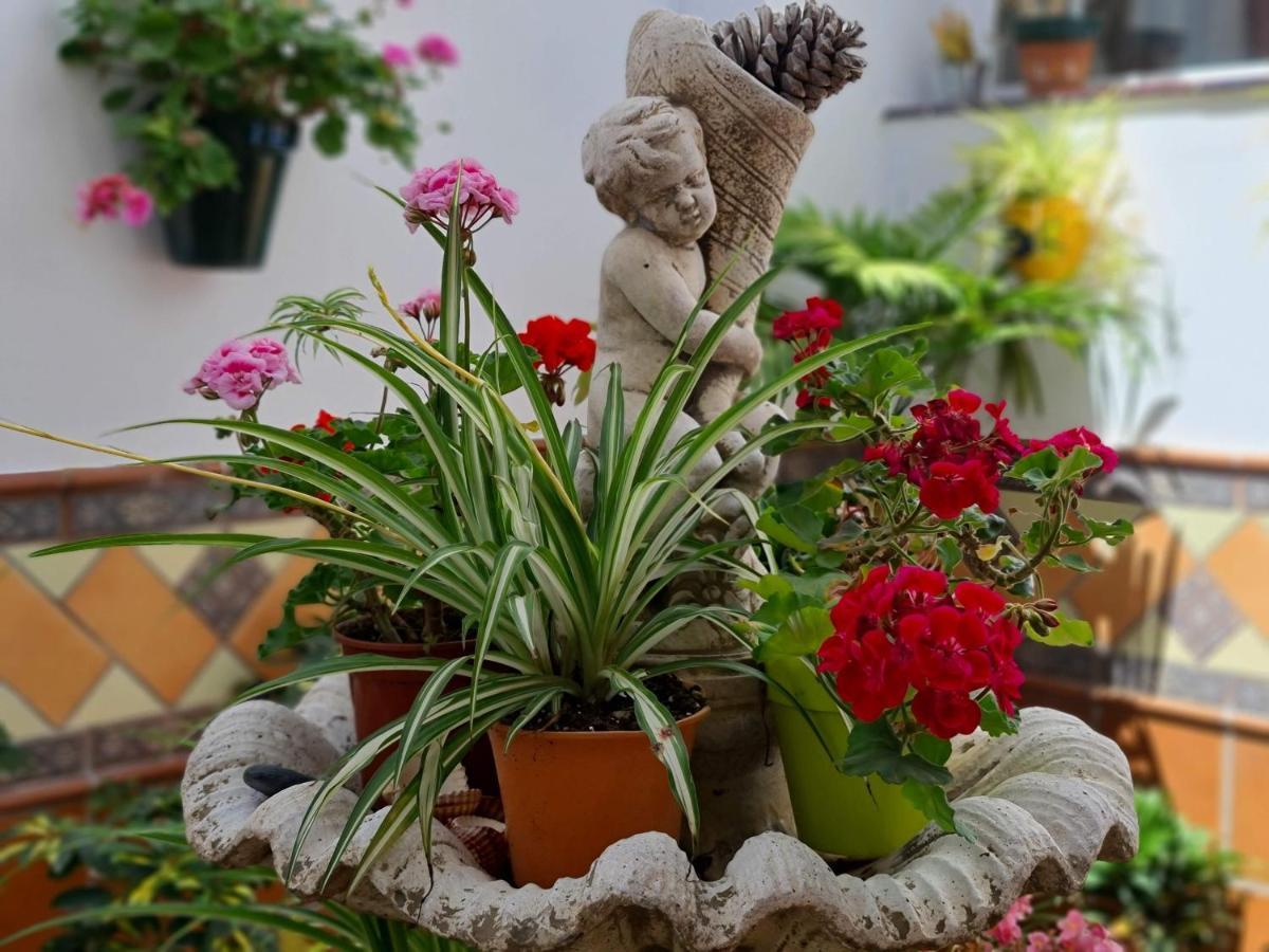 El Barrio Apartamento *