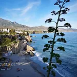 Peperent Casa Pino