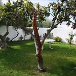 El Capistrano