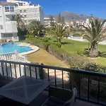 Palmeras 8 Menyber
