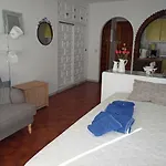 Palmeras 55 Menyber