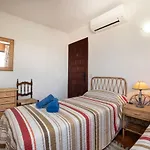 Palmeras 31 Menyber