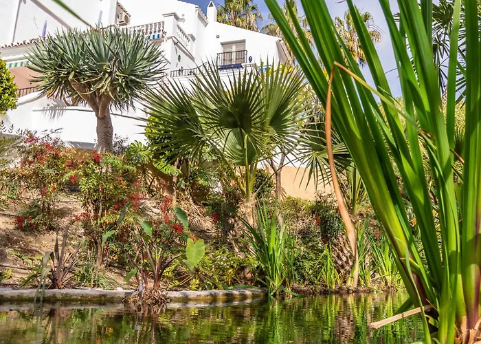 Rabat 2 Oasis Properties