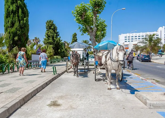 Zorrilla Torrecilla Nerja