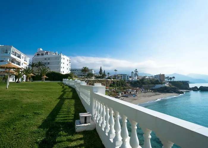 Palmeras 55 Menyber