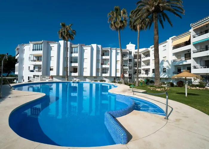 Palmeras 31 Menyber