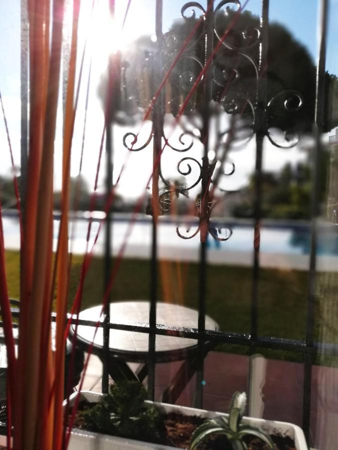 Apartamento Verdemar With Sea View And Garden