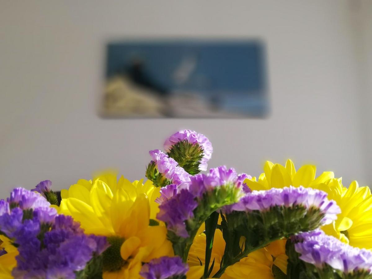Verdemar With Sea View And Garden