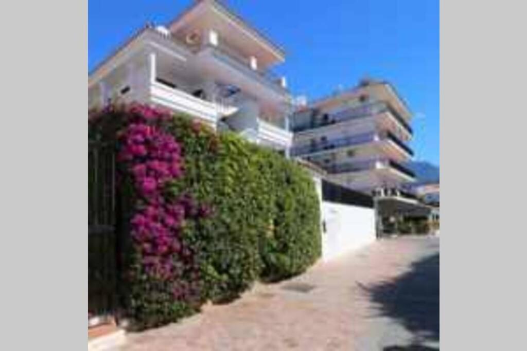 2 Bedroom Calle Carabeo, Free Wi-fi Apartamento *