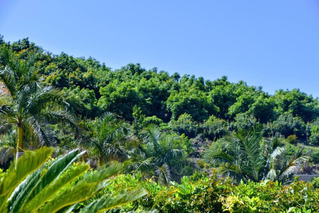 Villa Casa Mango