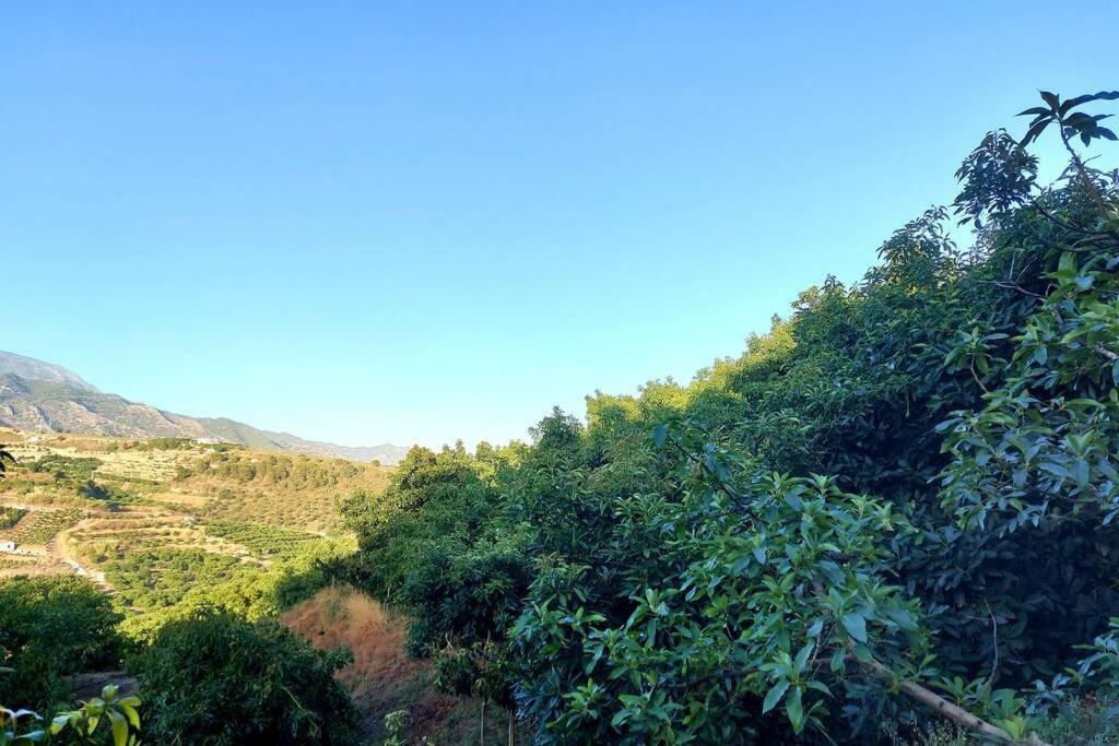 Casa Mango Villa *