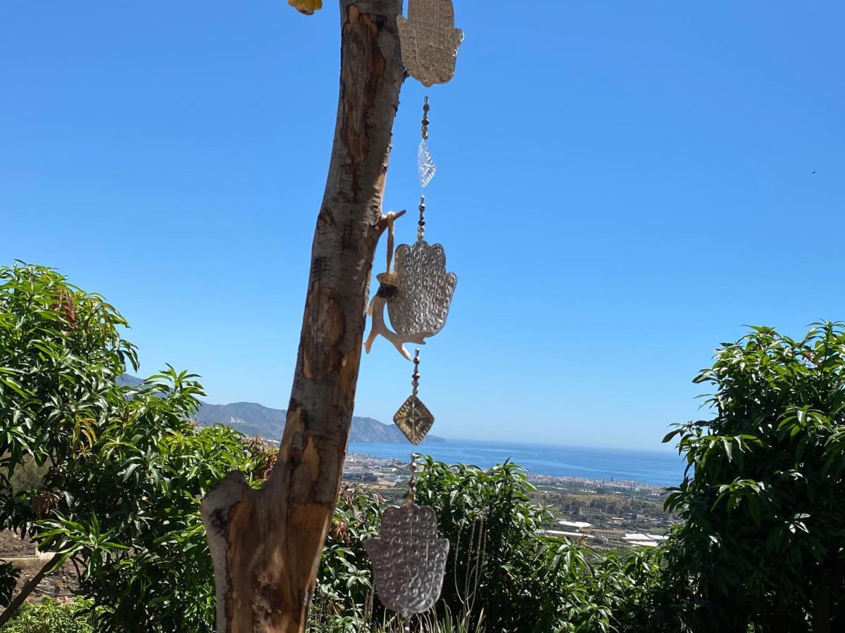 Bed and breakfast La Casa Del Burro Nerja
