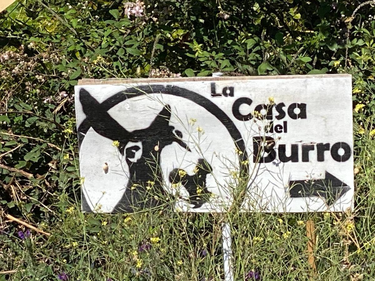 La Casa Del Burro Bed and breakfast Nerja