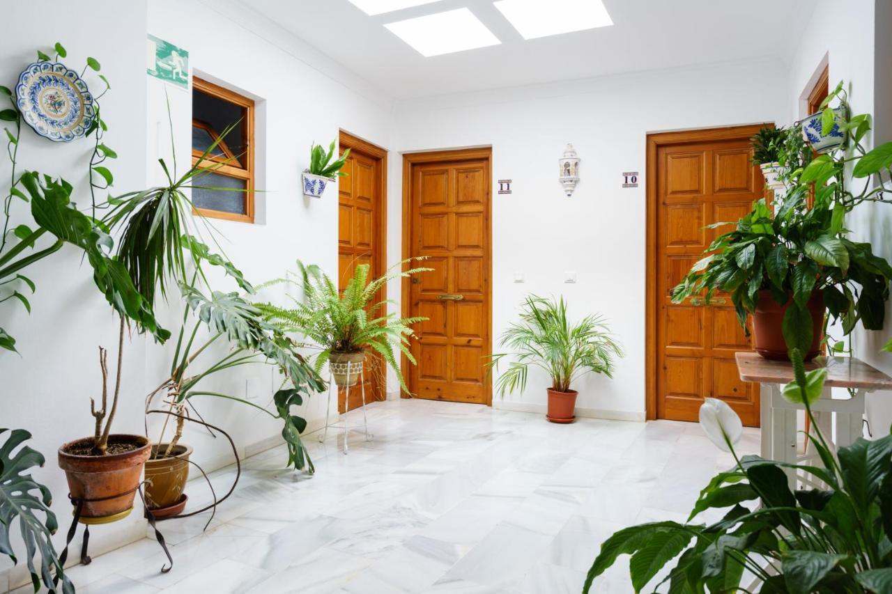 Pepe Mesa Apartment