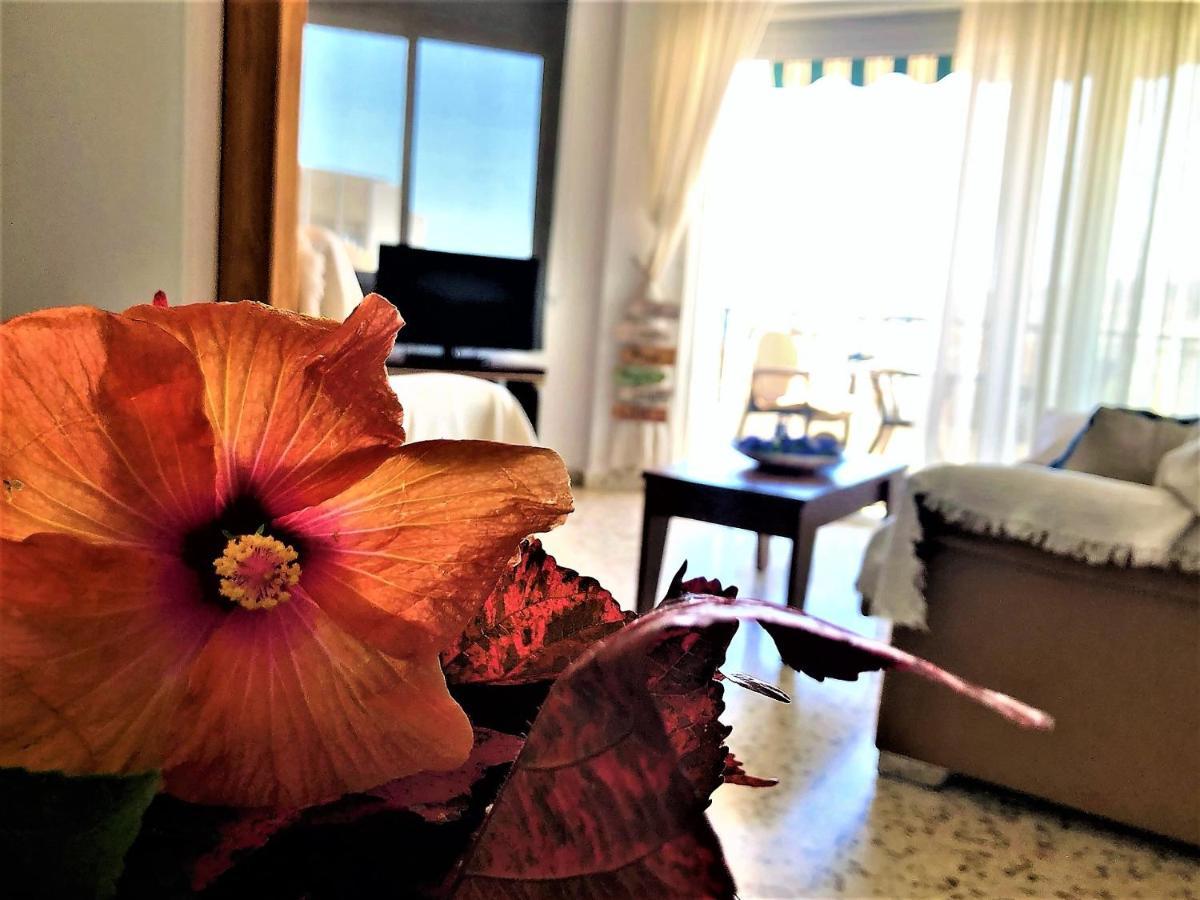 Apartamento Salute To The Sea Nerja