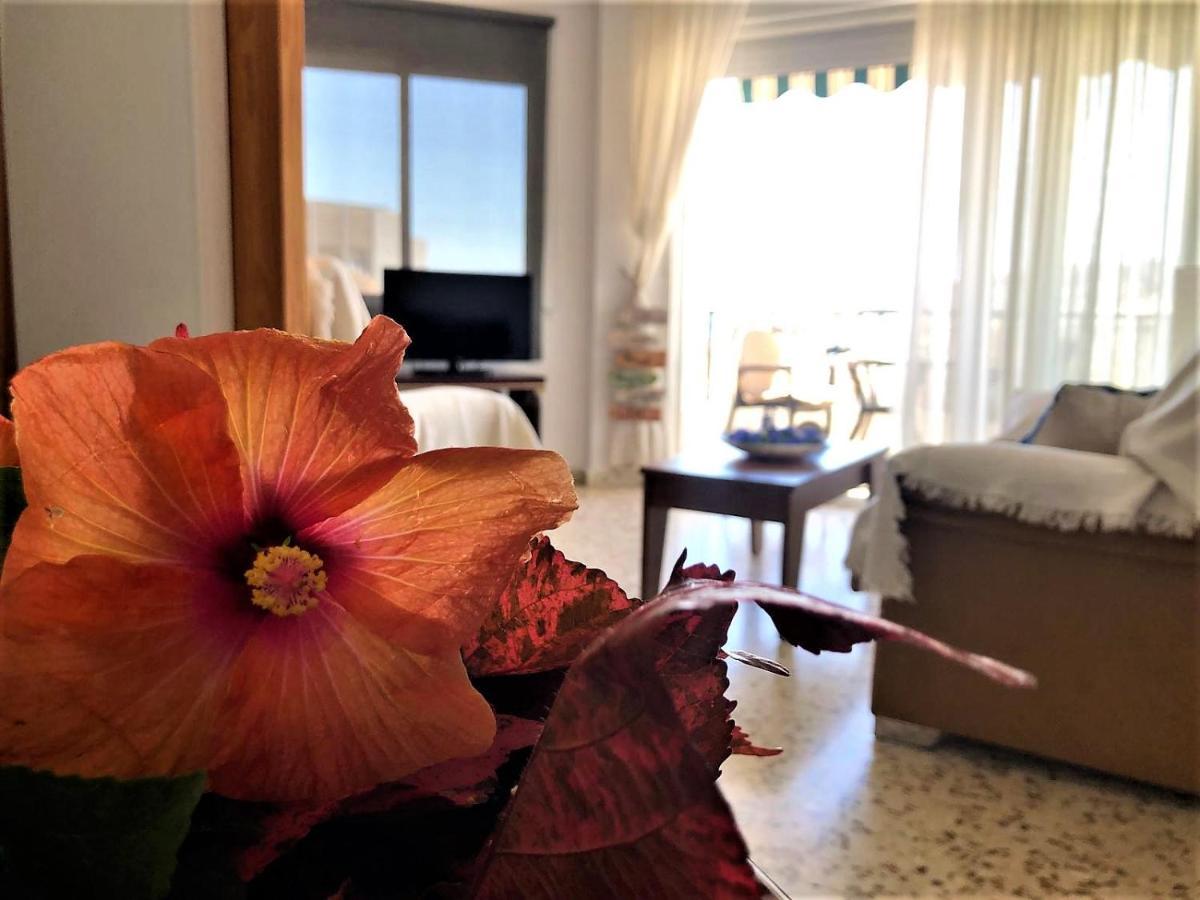 Apartamento Salute To The Sea