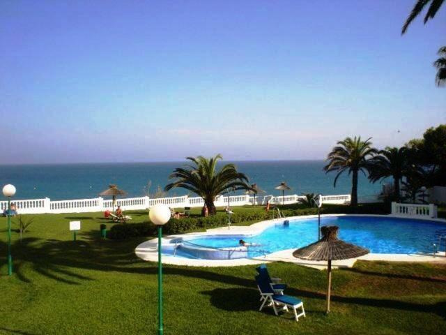 Apartamento Palmeras *