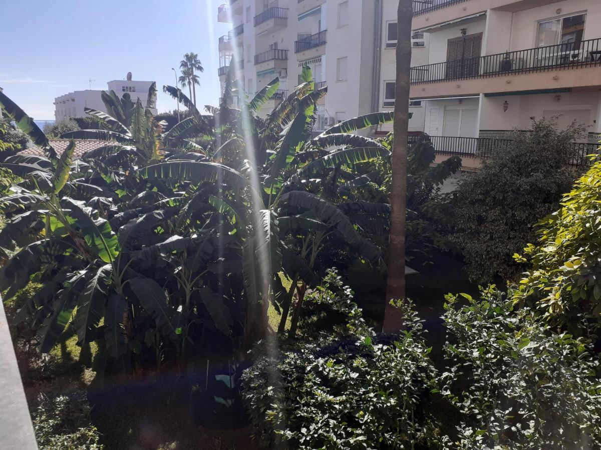 Apartment Albaida Ii Bajo G