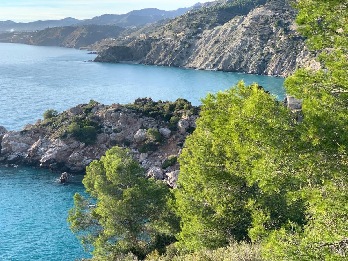 Andrea Nerja