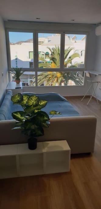 Studio Centro/playa Apartamento