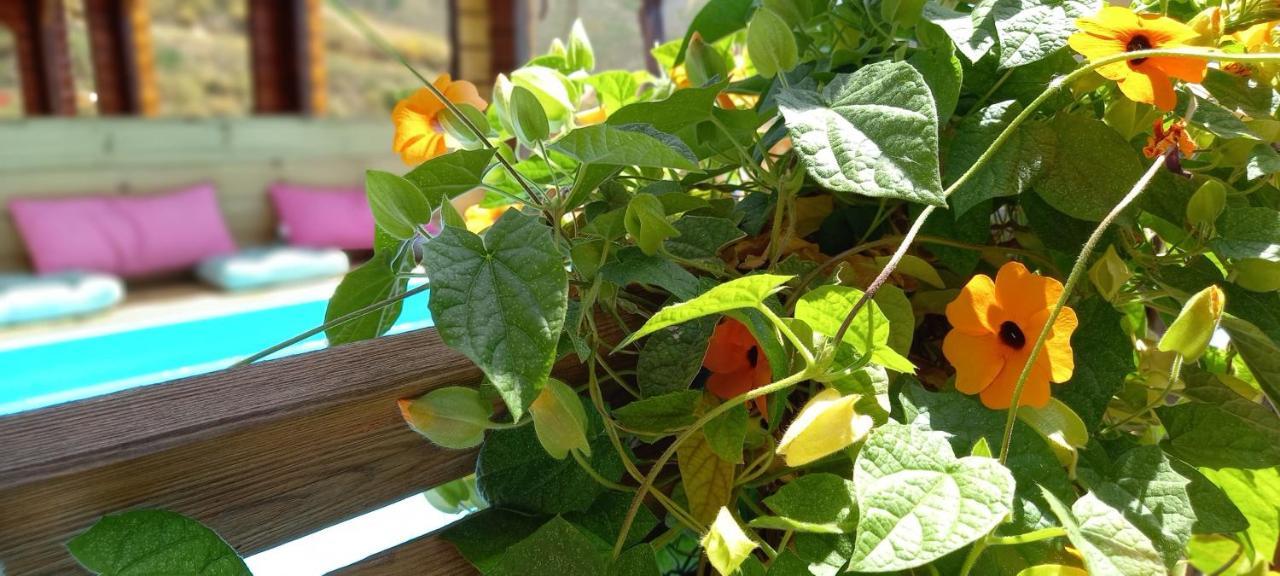 Mariposa Mariposaholidays Holiday home