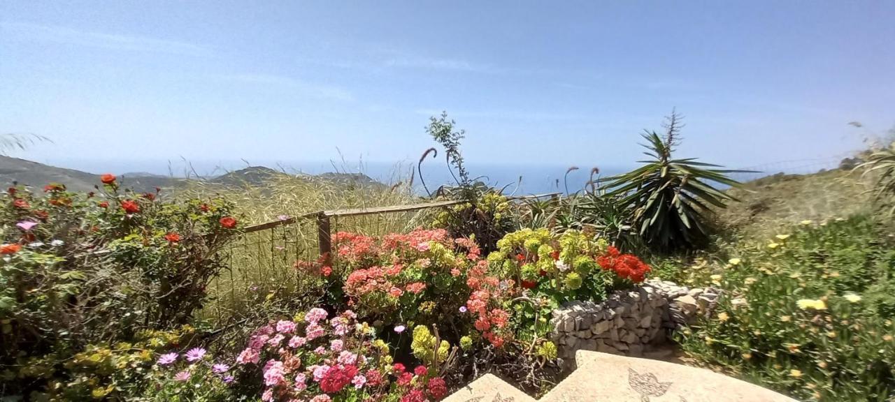 Holiday home Mariposa Mariposaholidays