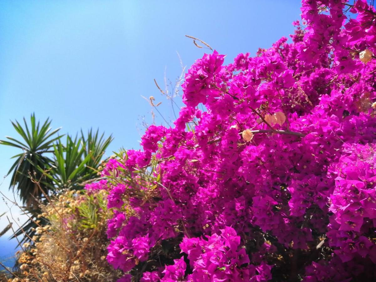 Holiday home Mariposa Mariposaholidays Nerja