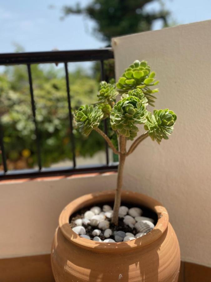 Apartamento Palmeras 3, *