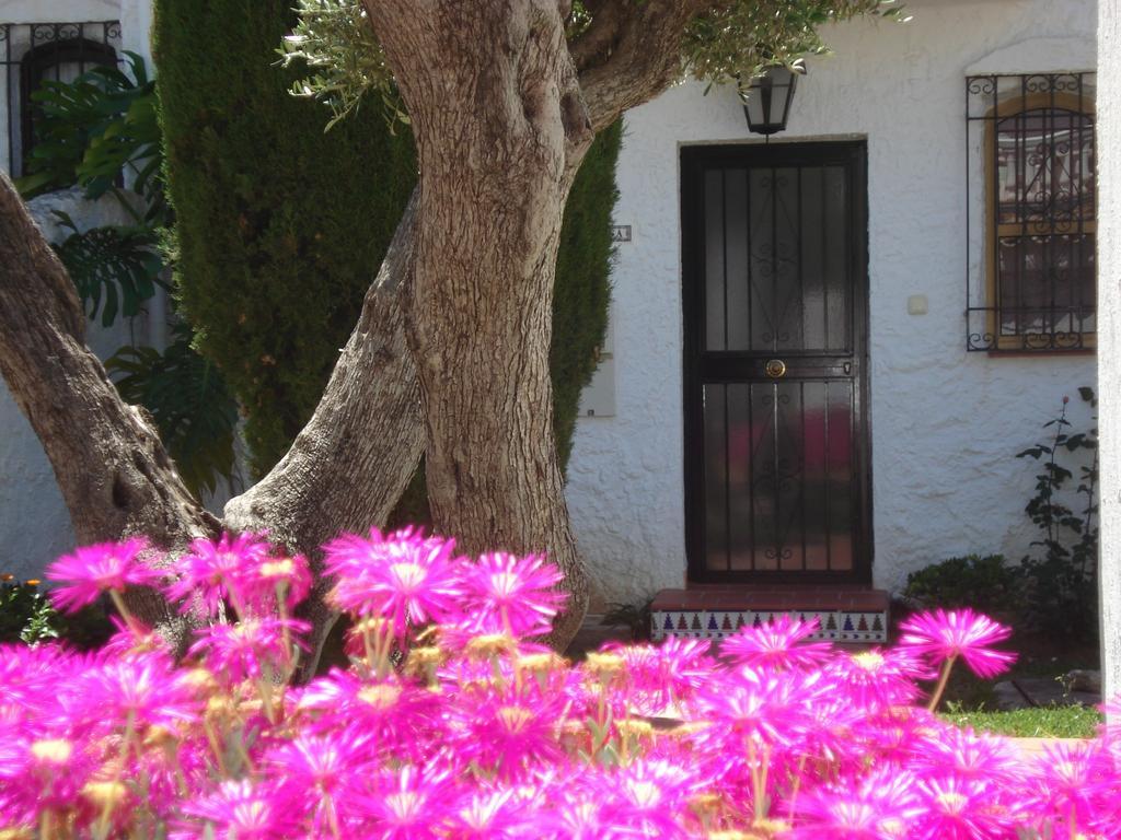 El Capistrano Sur 2*