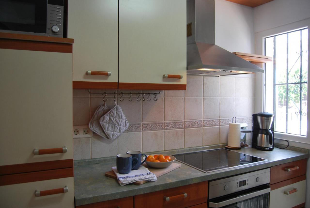 Ap322 - Mirlo Nerja