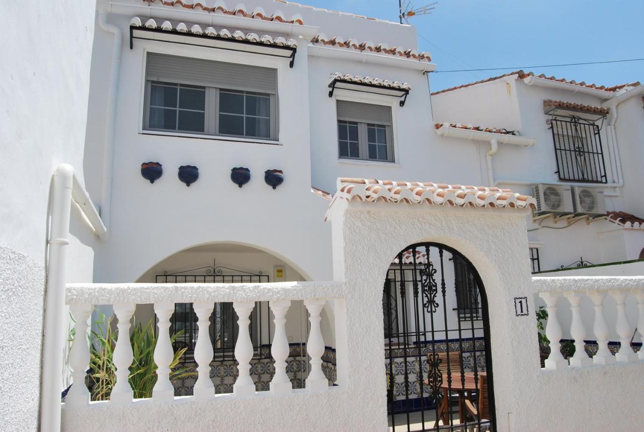 Ap322 - Mirlo * Nerja