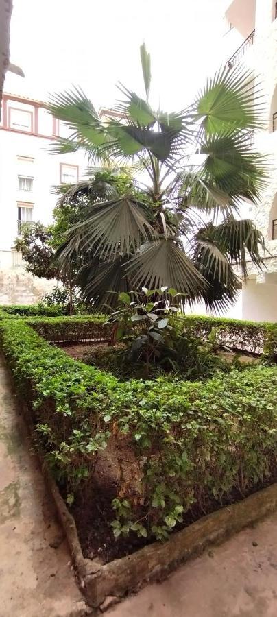 Ap370 - Bahia Apartment *