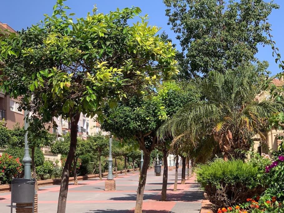 Excellent In In Local Area Apartamento